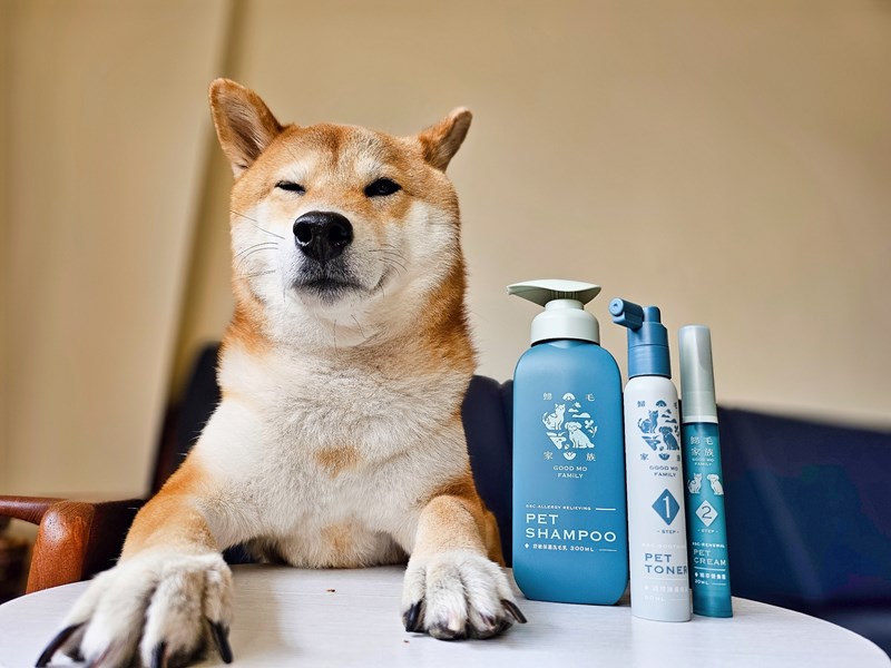 女人知己試用大隊,口碑行銷,部落客行銷,Goodmofamily歸毛家族 寵物肌膚救星組,歸毛家族 寵物肌膚救星,舒敏保濕洗毛乳,護膚噴液,精萃營養霜,博士30年生技專業,給足皮膚營養保護力,無抗生素 無類固醇,神經醯胺,19種綜合胺基酸,榮獲SNQ國家認證,上萬毛爸媽見證,3週幫助皮膚健康,NO.1寵物肌膚口碑霸主,寵物第一護膚領導品牌